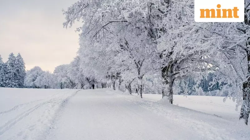 Lake-Effect Snow Blankets Ohio, Schools Shut and Roads Turn Treacherous