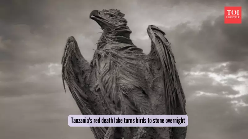 Lake Natron: Africa's Red Lake That Turns Animals to Stone