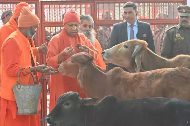 Lakhs Gather at Gorakhnath Temple for Khichdi Offering Ahead of Makar Sankranti