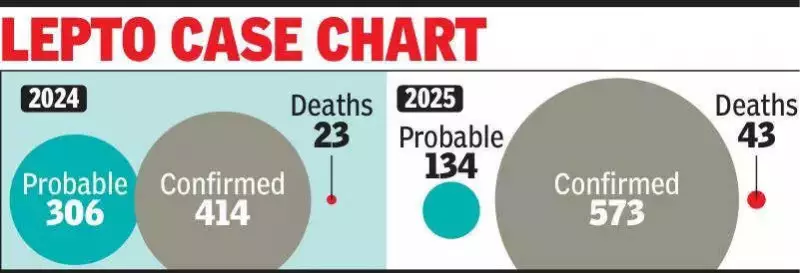 Leptospirosis Deaths Double in Ernakulam: 43 Fatalities in 2025 Amid Low Prophylaxis