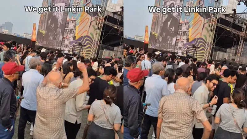 Lollapalooza India 2026: Viral Video Shows Elderly Men 'Vibing' to Linkin Park Performance