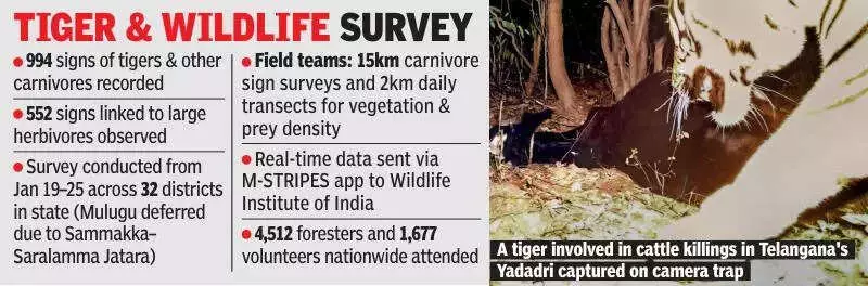 Lone Tiger Roams Telangana Farmlands, Forest Dept Launches High-Tech Tracking Operation
