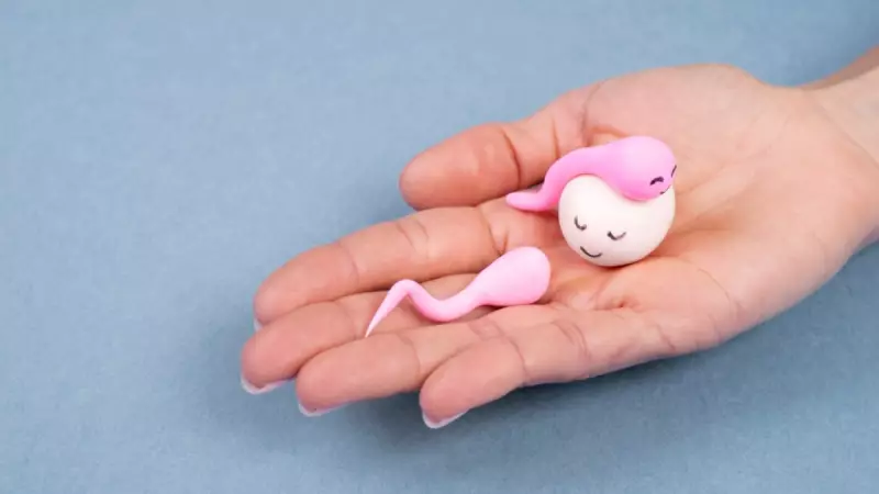 Low AMH Levels? A Doctor Explains Your Next Steps for Fertility