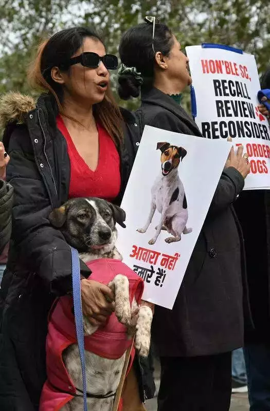 Lucknow Activists Form Human Chain Against SC Dog Removal Order, Demand Humane ABC Rules
