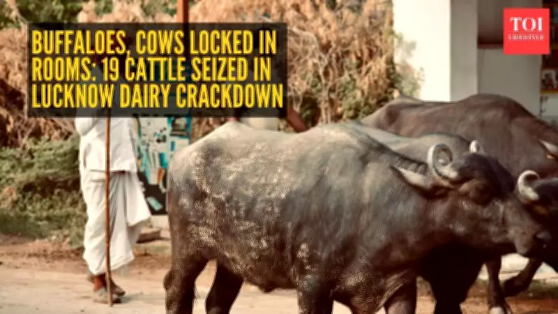 Lucknow Cracks Down on Illegal Dairies in Residential Areas Amid Health Concerns