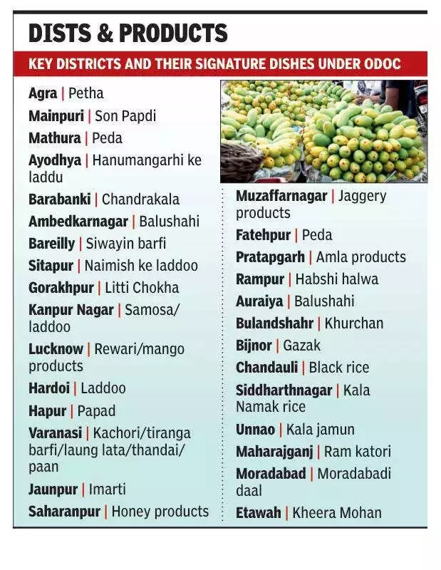 Lucknow Implements Massive Security Plan for Amit Shah's Visit