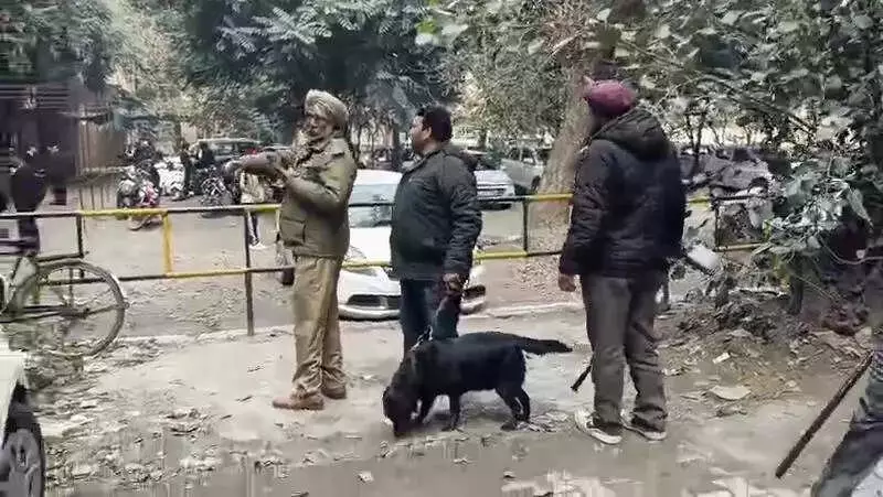 Ludhiana Court Complex Evacuated After Bomb Threat Email, Massive Security Operation Launched
