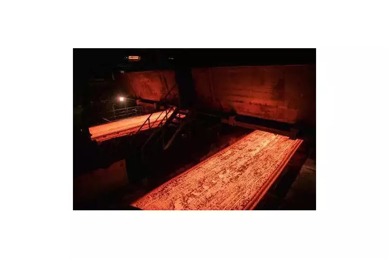 Ludhiana MSMEs Demand Revival of PSIEC Raw Material Scheme Amid Steel Price Volatility