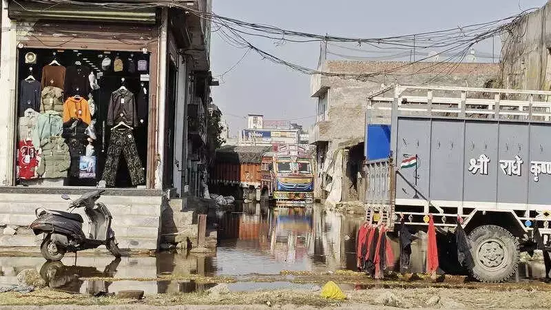 Ludhiana's Tajpur Road Dairy Complex Crisis: Waste Water Flooding Paralyzes Operations