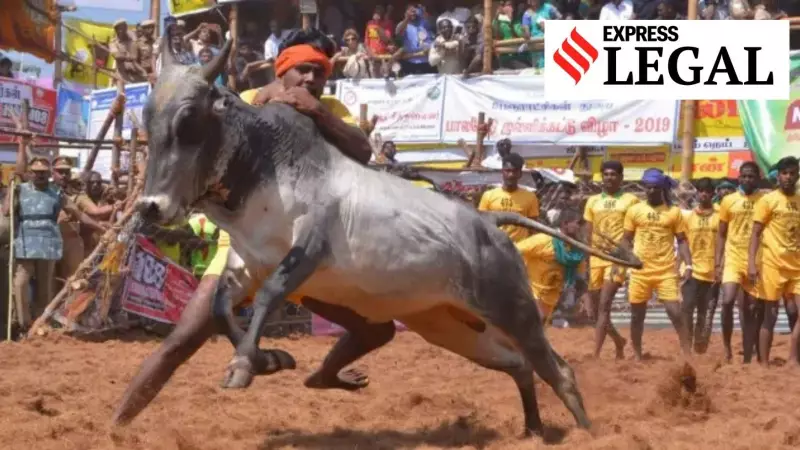 Madras HC Denies Private Committee Permission for Jallikattu, Says State Organizes Global Event