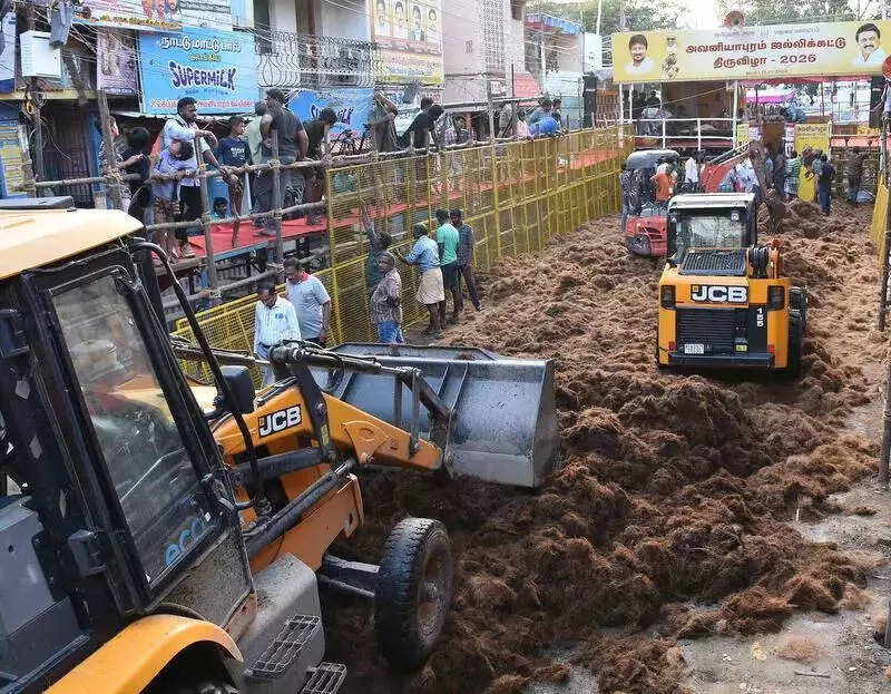 Madurai Gears Up for Three-Day Jallikattu Fest: Safety, Prizes & VIPs