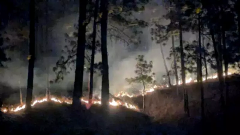 Maharashtra Forest Department Launches Special Fire Awareness Week from February 1