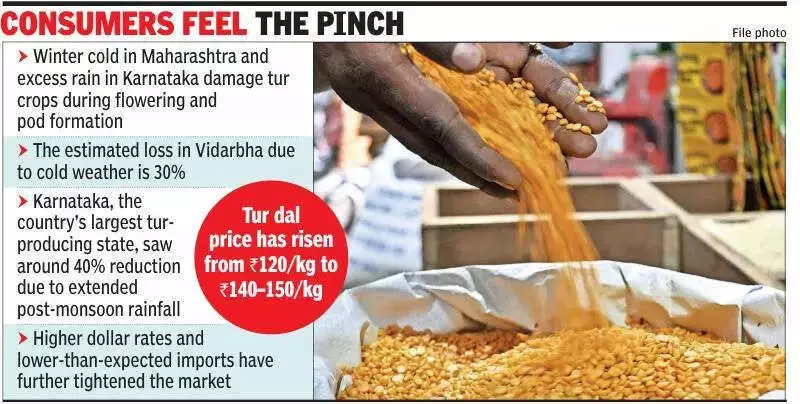 Maharashtra Tur Dal Prices Surge as Winter Spell Damages Pigeon Pea Crop