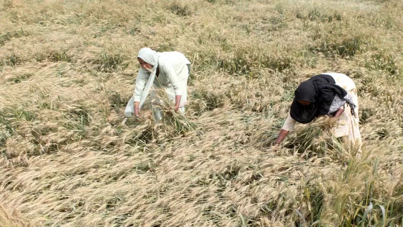 Maharashtra Women Farmers Demand Recognition and Land Rights at Key Stakeholder Consultation