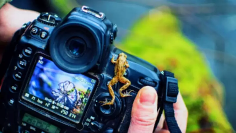 Maharashtra's Pandharpur Wari Pilgrimage Wins Global Acclaim at Travel Photographer Awards 2025