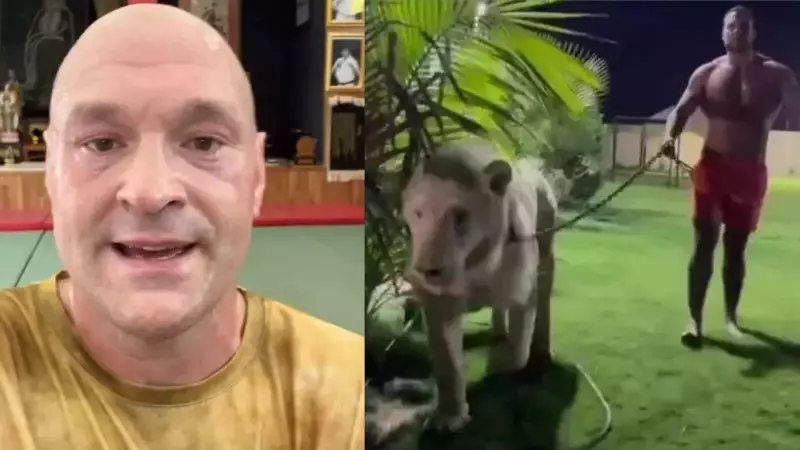 Mahmoud Charr Walks Lion, Challenges Tyson Fury to Heavyweight Clash