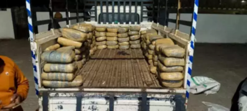 Major Drug Bust in Bapatla: Police Seize 198 Kg Ganja, Arrest Two Smugglers