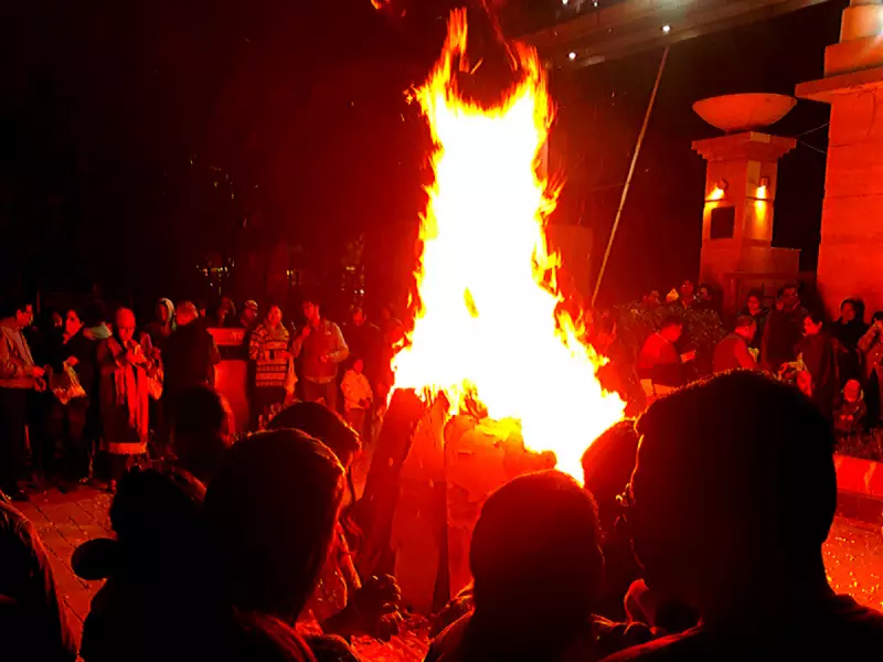 Makar Sankranti: India's Vibrant Harvest Festival Celebrated with Regional Diversity