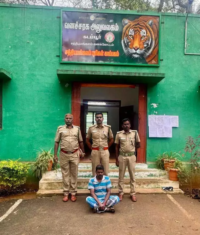 Man Arrested for Elephant Death in Sathyamangalam Tiger Reserve