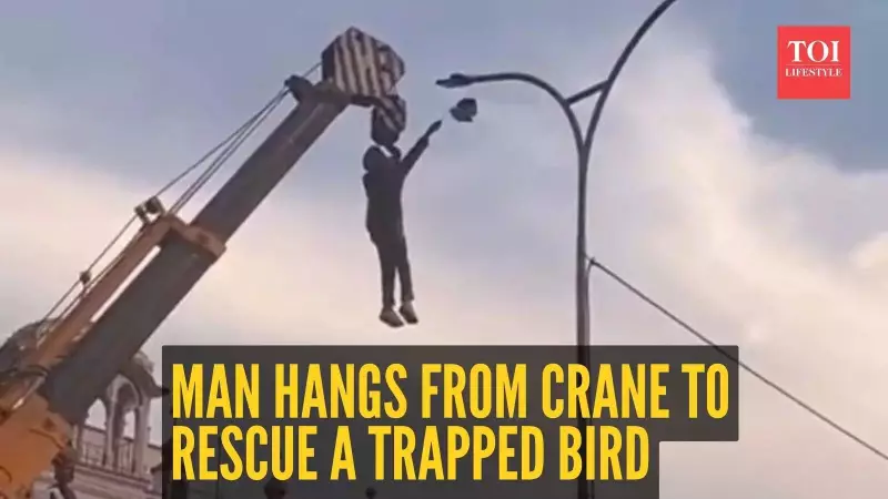 Man Risks Life on Crane to Rescue Bird Trapped in Wires; Video Goes Viral