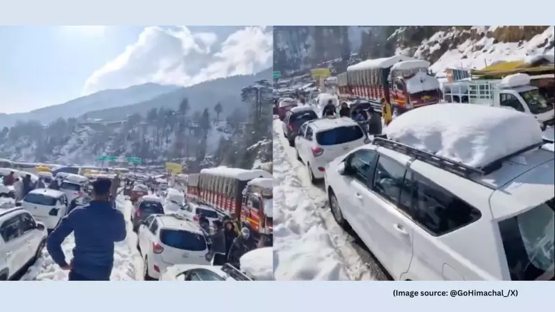 Manali Snowfall Chaos: 8-Km Traffic Jams Strand Tourists Overnight in Freezing Temperatures