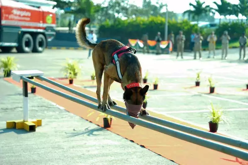 Mangaluru to Launch Akka Pade Initiative for Women & Child Safety