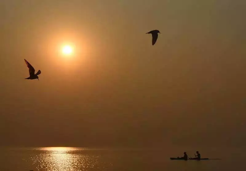 Marathwada Dams at 5-Year High with 80% Water Stock, Summer Scare Averted