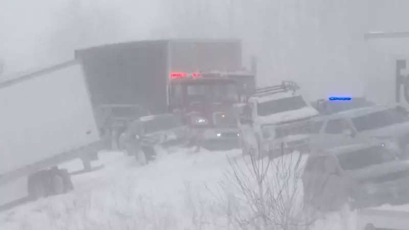 Massive 100-Vehicle Pileup in Michigan as Snowstorm Sweeps Across US