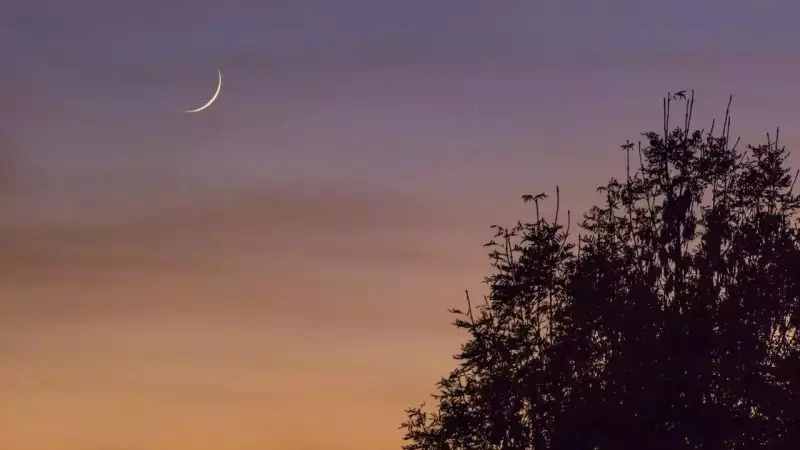 Mauni Amavasya 2026: Date, Significance, and Rituals for Spiritual Purification