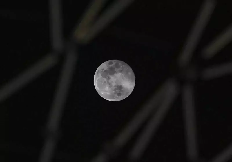 Mauni Amavasya 2026: The Silent New Moon's Karmic Reset Ritual