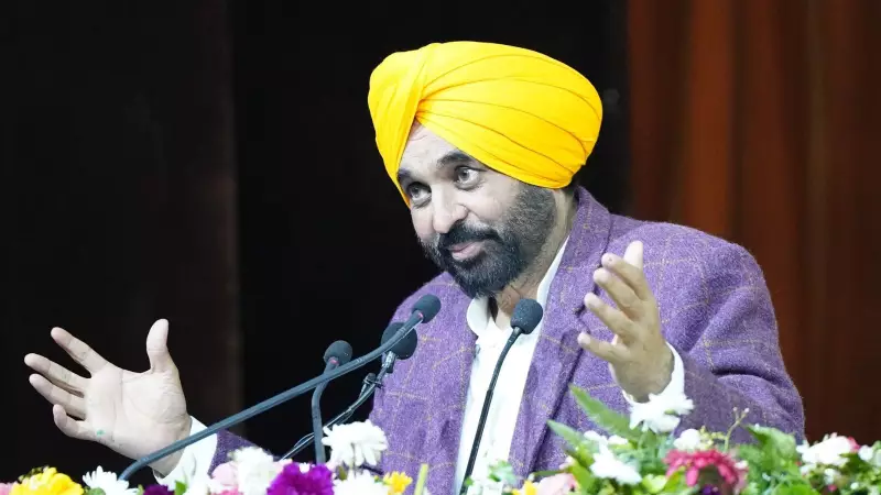 MEA Denies Political Clearance to Punjab CM Bhagwant Mann for UK-Israel Investment Tour