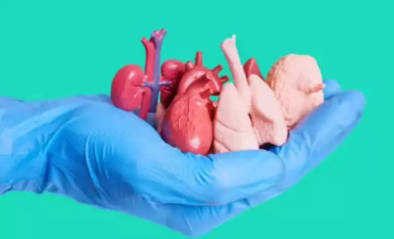 Medical Education Crisis in Lucknow: KGMU and RMLIMS Face Critical Shortage of Body Donations