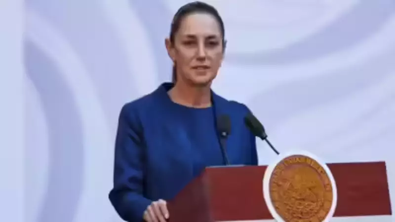 Mexico's President Rejects US Military Action Against Cartels After Trump Call