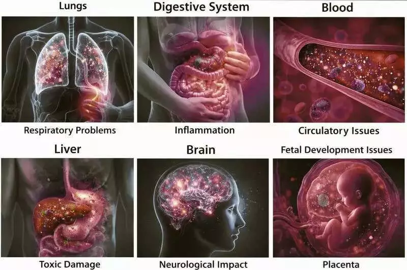Microplastics and Nanoplastics Contaminate Indian Water Systems, Threaten Public Health