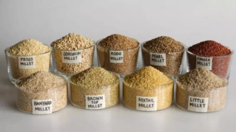 Millets Myths and Metabolism: A Comprehensive Reality Check