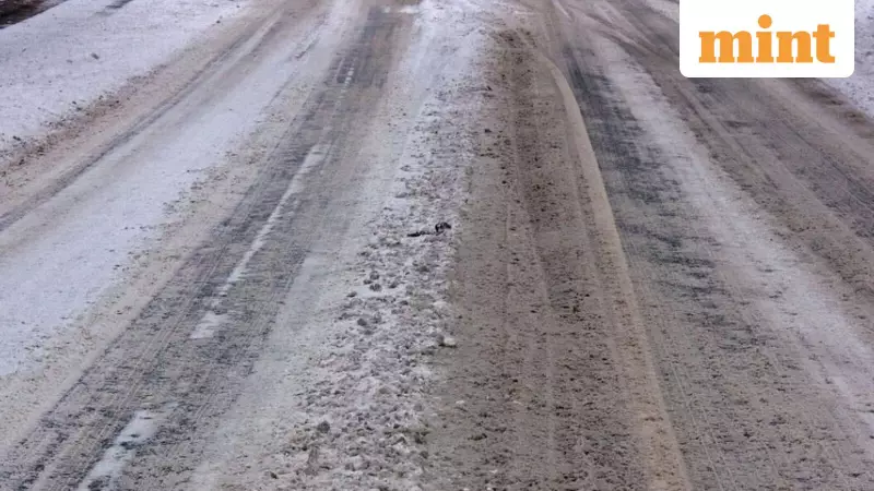 Minnesota, Wisconsin Schools Shut on Jan 6 as Freezing Rain Creates Slick Roads