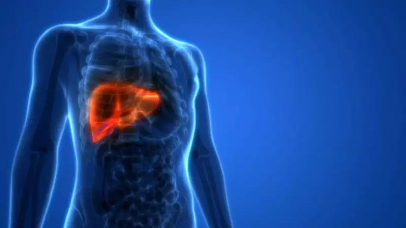 MIT Study: High-Fat Diet Makes Liver Cells Prone to Cancer