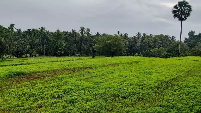 MoEF Eases Land Acquisition Mandate for Environmental Clearance Process