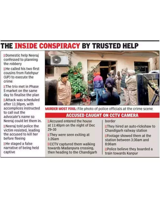 Mohali Murder: Domestic Help, Two Cousins Conspired in Phase 5 Robbery