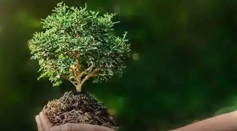 Mohali's Senior Green Warriors: Planting 14,000 Trees for a Greener Future