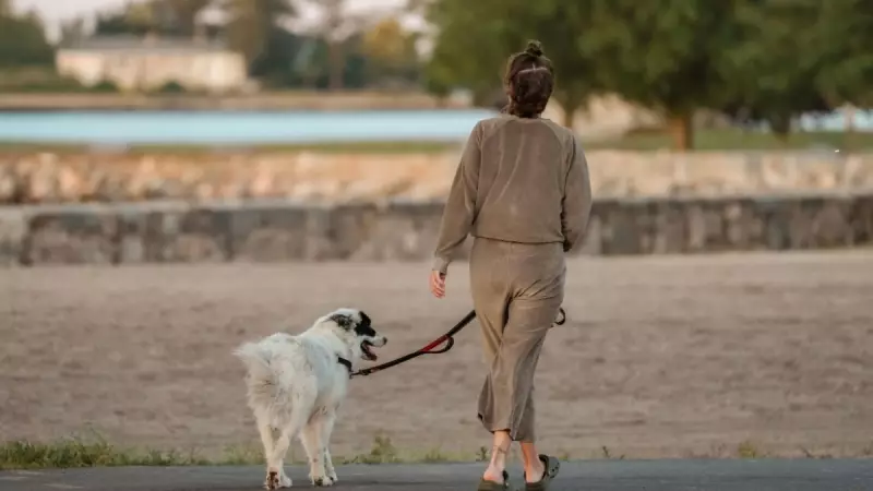 Morning Walks in Polluted Cities May Worsen Knee Pain, Study Warns