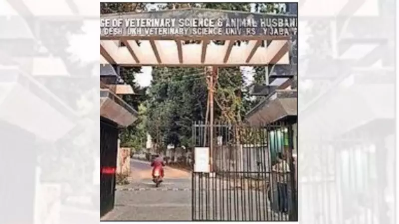 MP Govt's Cow Dung Cancer Research Funds Fuel Rs 2 Crore Scam in Jabalpur