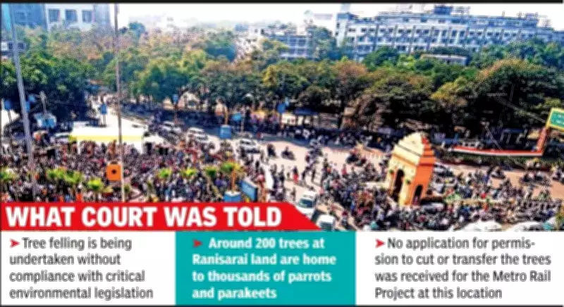 MP High Court Stays Tree Felling for Indore Metro Bridge, Protects Parrot Habitat