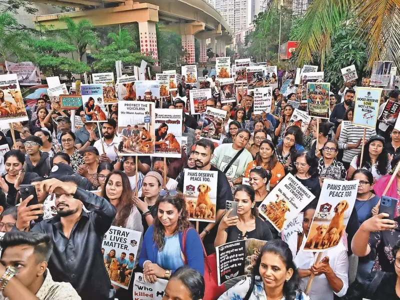 Mumbai Protests Supreme Court Order on Stray Dogs, Demands Compassion