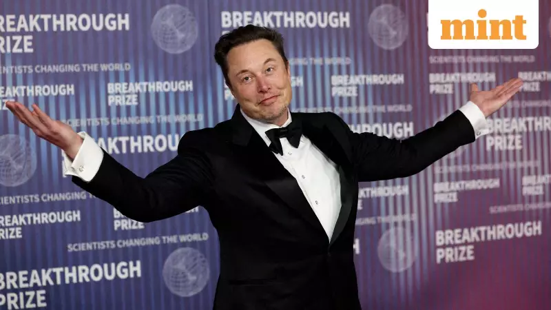 Musk vs O'Leary: Starlink Spat Escalates as Ryanair Rejects In-Flight WiFi