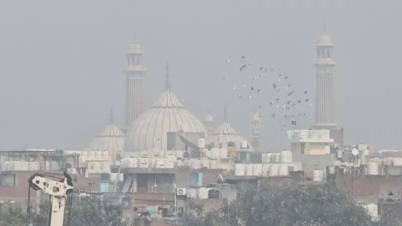 My Neighbors Taught Me That Acceptance Grows Through Small Daily Acts of Openness