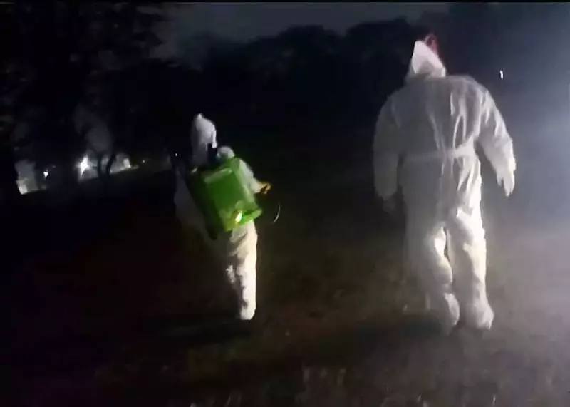 Mysterious Death of 125+ Wild Crows in Bhagalpur Sparks Bird Flu Fears