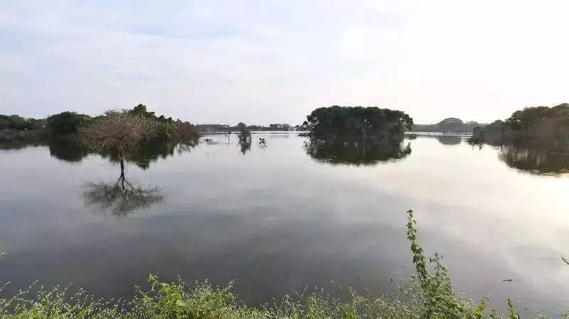 Mysuru MLA GT Devegowda Directs Permanent Solution for Lingambudhi Lake Sewage Crisis