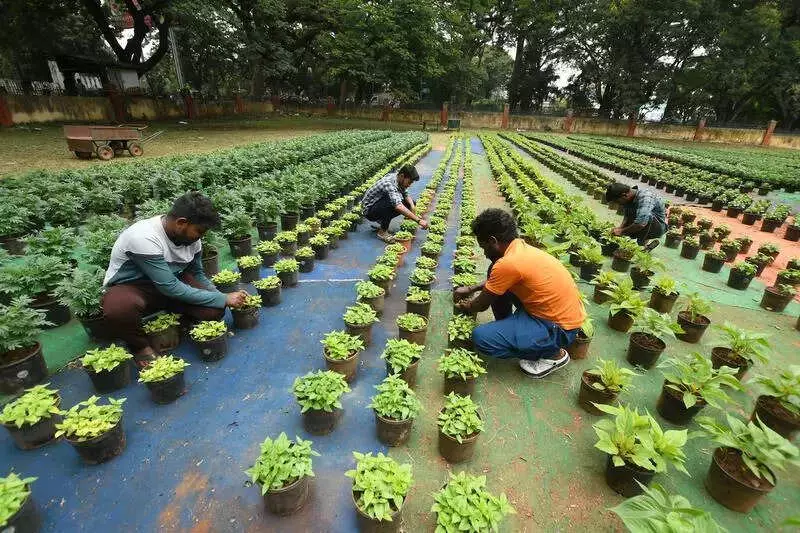 Mysuru to Hand Over 63 Parks to Women's SHGs for Maintenance Under Amrith Mitra