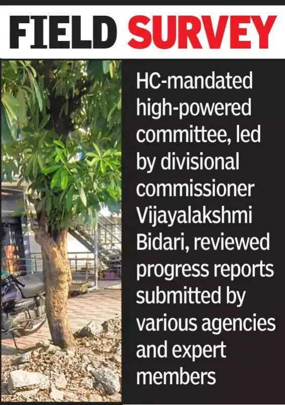 Nagpur: 3,300 More Trees Found Choked as De-Choking Drive Expands